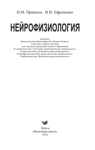 Нейрофизиология: учебное пособие для студентов