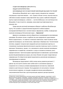 Моховидные: общая характеристика и эволюция