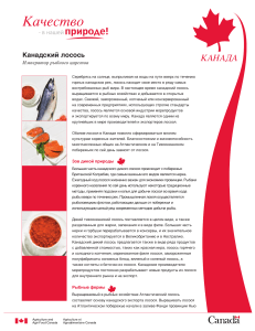Канадский лосось: качество и питательность