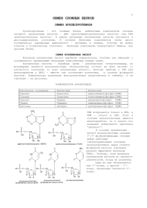 Обмен нуклеопротеинов и нуклеиновых кислот