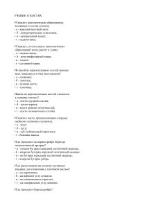 Остеология: Вопросы и ответы по анатомии костей