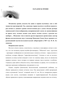 Парадоксы зрения: механизмы и устройство глаза