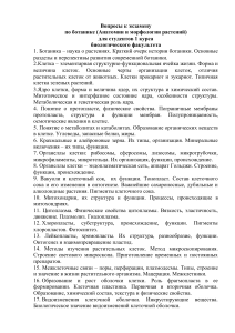 Вопросы к экзамену по ботанике (анатомия и морфология)