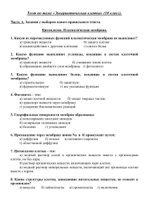 Тест по биологии: Эукариотическая клетка, 10 класс