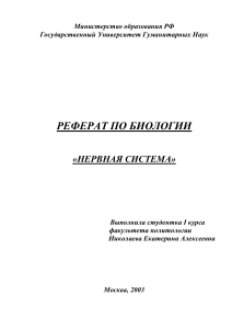 Нервная система: Реферат по биологии
