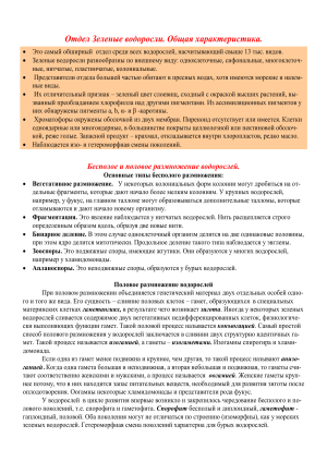Зеленые водоросли: общая характеристика, размножение