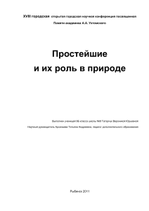 Простейшие и их роль в природе: научная работа