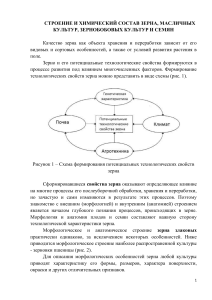 Строение и состав зерна: лекция по сельскому хозяйству