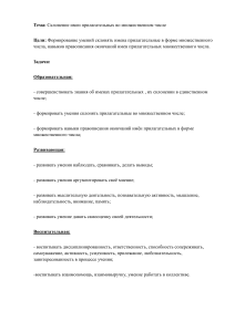 Склонение прилагательных во множественном числе: план урока