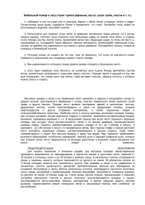 Лесной пожар: инструкция по действиям