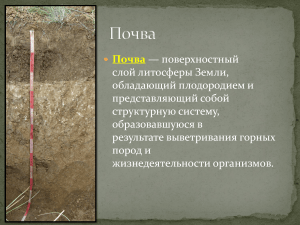 Почва: состав, структура, свойства и образование