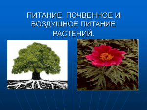 Питание растений: почвенное и воздушное