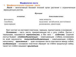 Морфология листа: строение, функции, классификация