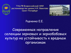 Селекция зерновых на устойчивость к вредителям