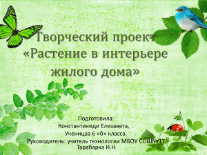 Растения в интерьере: проект по технологии для 6 класса
