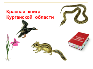 Красная книга Курганской области: редкие виды