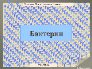 Бактерии: Детская презентация о микробах