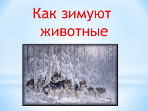Как зимуют животные: рассказы для детей