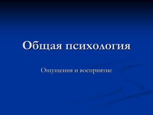 Ощущения и восприятие: Общая психология