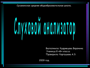 Слуховой анализатор: строение и функции уха