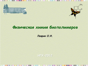 Физическая химия биополимеров: сайт-направленный мутагенез