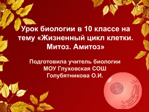 Митоз и жизненный цикл клетки: Презентация для 10 класса