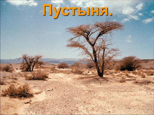 Пустыни: формирование, климат, флора и фауна