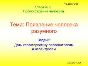 Появление человека разумного: палеоантропы и неоантропы