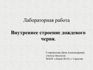 Внутреннее строение дождевого червя: лабораторная работа