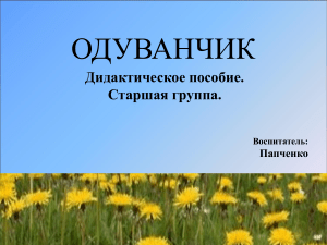 Одуванчик: Дидактическое пособие для детей старшей группы