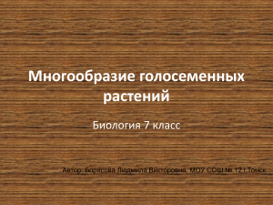 Голосеменные растения: разнообразие, биология 7 класс