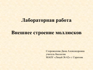 Внешнее строение моллюсков: Лабораторная работа