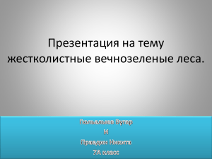 Жестколистные вечнозеленые леса: презентация по географии