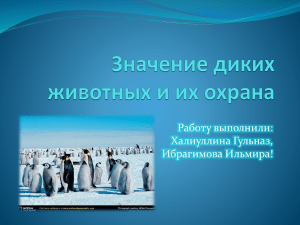 Охрана диких животных: презентация по биологии