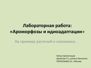 Ароморфозы и идиоадаптации: растения и насекомые