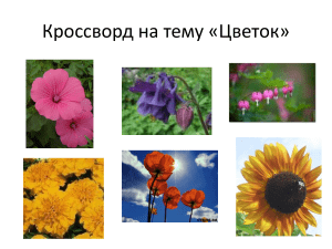 Кроссворд «Цветок»: Ботаника для школьников