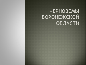 Черноземы Воронежской области: типы и характеристики