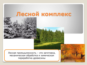 Лесной комплекс России: презентация по географии
