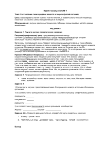 Практическая работа по экологии: пищевые цепи и задачи