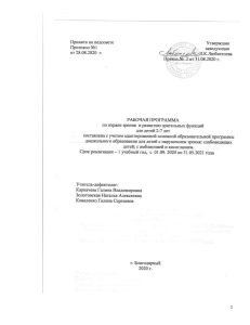 Рабочая программа для детей с нарушением зрения (2-7 лет)