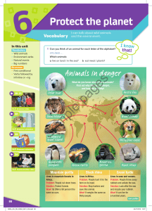 Protect the Planet: Wild Animals & Environment