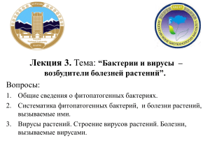 Бактерии и вирусы - возбудители болезней растений