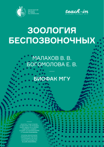 Зоология беспозвоночных: конспект лекций МГУ