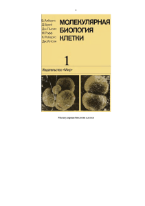 Молекулярная биология клетки: Учебник для биологов