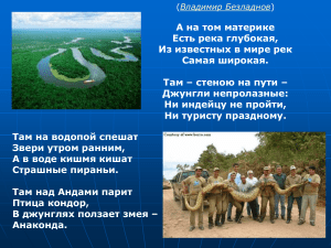 Южная Америка: Географическое положение - Презентация