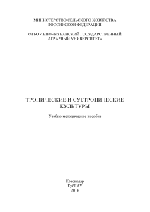 Тропические и субтропические культуры: Учебно-методическое пособие