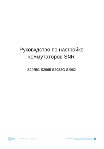 Руководство по настройке коммутаторов SNR