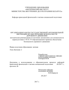 Организация работы ГАИ: методические рекомендации