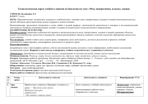 Мхи, папоротники, плауны, хвощи: урок биологии в 5 классе