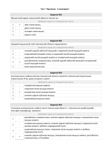 Тест по урологии, 2 категория
